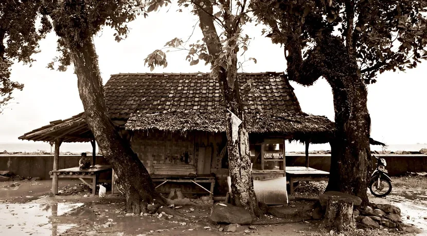 pinokia-dom-wynajem-002