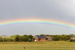 IMG_0841