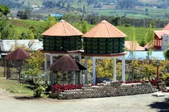 pinokia-dom-wynajem-014