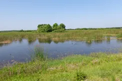 Nowa Wieś Zbąska działka nad jeziorem, wł. Trochelepszy 007