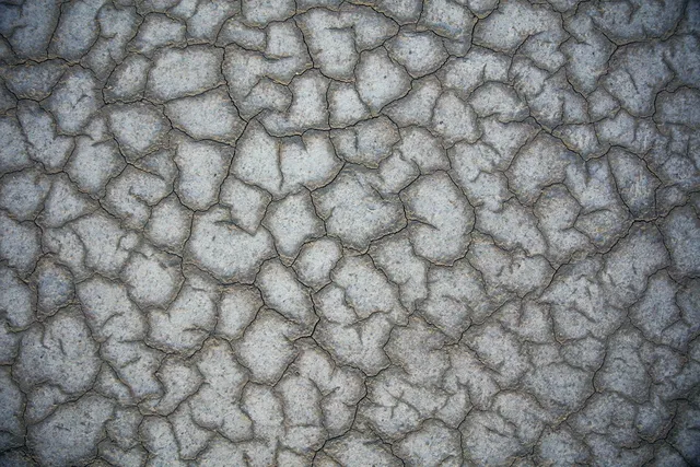 Działka inwestycyjna – ZACISZE