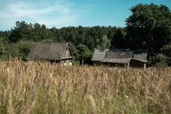 IMG_0848