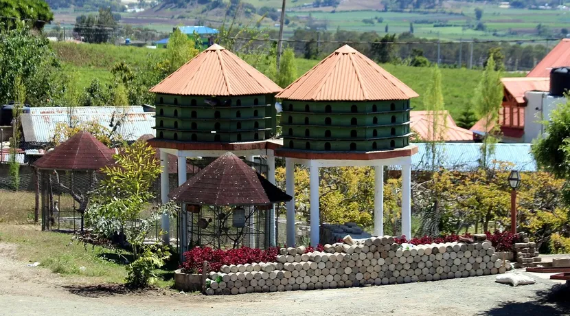pinokia-dom-wynajem-014