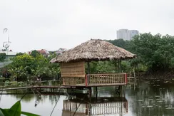 IMG_0580
